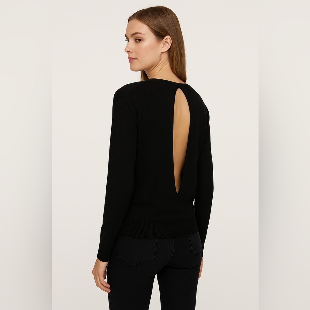 ARITZIA Wilfred Silk Rabbit Hair Cashmere Sweater Black Open Back Pullover XS